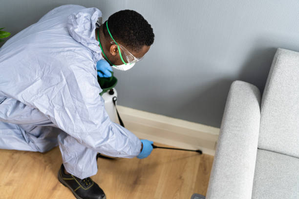 Best Residential Pest Control  in Weslaco, TX